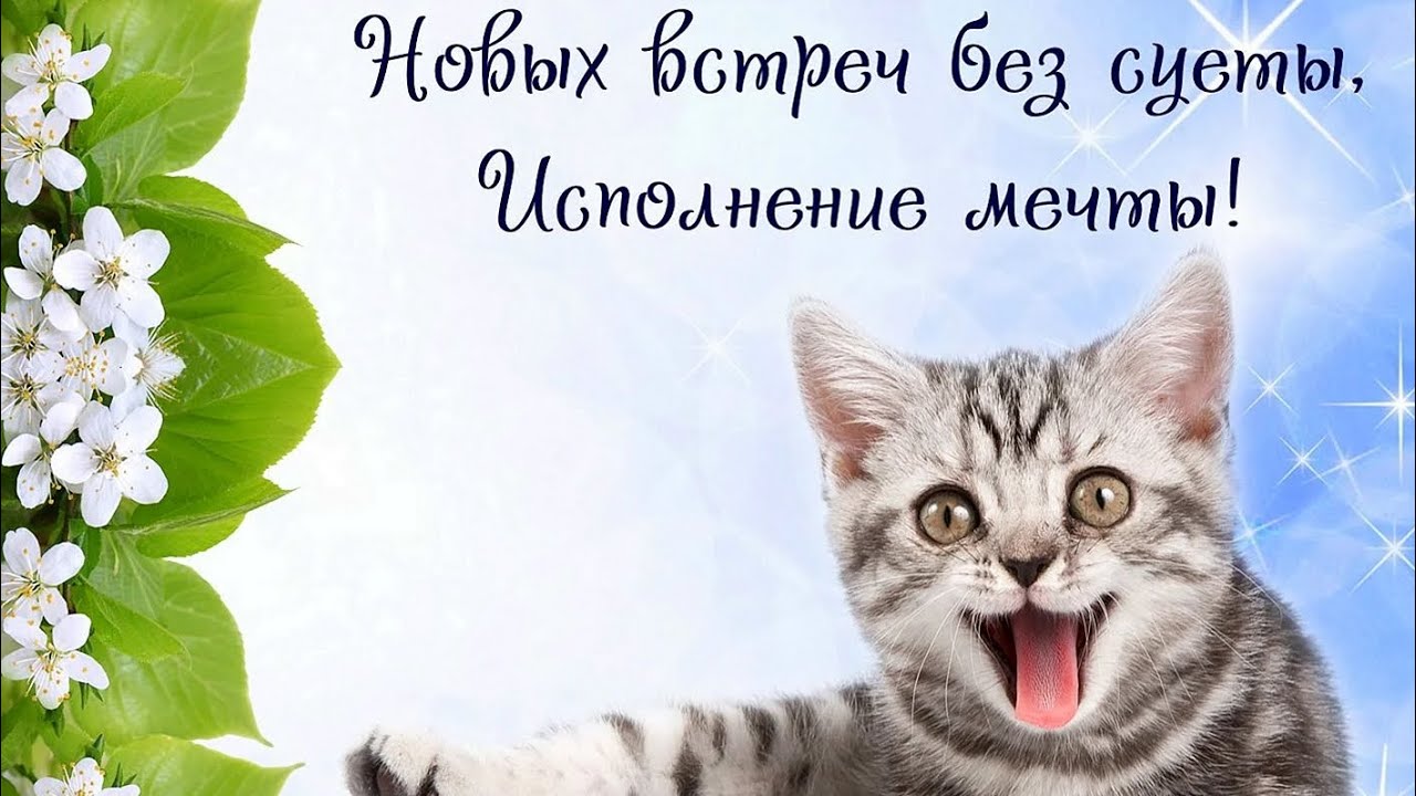Успехов и удачи тебе сегодня 🌸🌸🌸 - YouTube