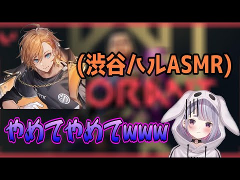 最悪のタイミングで渋ハルのASMRを聴いてしまう兎咲ミミ【兎咲ミミ/ぶいすぽ/切り抜き】