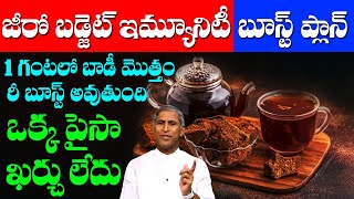 How to Boost Immunity Naturally at Home | జీరో బడ్జెట్ ప్లాన్ !! | Dr Manthena Satyanarayana Raju