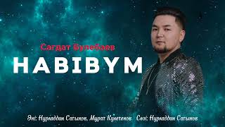 ХАБИБІМ - Сагдат Булебаев 2024 (audio)