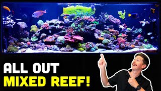 380 Gallon TRULY Mixed Reef Tank Tour! Only ONE YEAR Old!