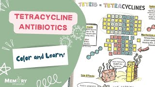 Tetracyclines Made Easy (Mnemonics, Mechanism of Action, Side Effects, Counseling)