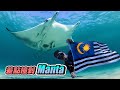 3公尺Manta Ray直撲過來 手抖害怕覺得冷   | Kokee的潛水世界#77 【巴厘島遊記T10】