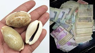 Download Lagu Eliminate all your troubles with this powerful Kaudi (cowrie shell) remedy! Wealth will come to y... Download Lagu Eliminate all your troubles with this powerful Kaudi (cowrie shell) remedy! Wealth will come to y...