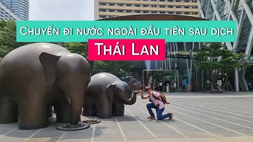 LÀM CHUỘT BẠCH THỬ ĐI THÁI LAN SAU DỊCH - VẬT VÃ Ở BANGKOK