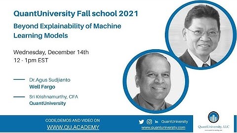 Beyond Explainability of Machine Learning Models: A discussion with Dr.Agus Sudjianto, Wells Fargo