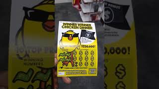I brought 1 of every different ticket out of the machine @ cvs on 11/27/2020