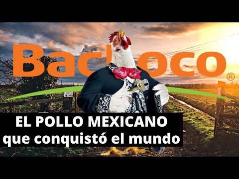 La MAYOR EMPRESA avícola de México | Caso Bachoco