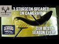 Sturgeon Spearing on Lake Winnebago 2021 | 250 POUNDS of Fish in 1 Day!