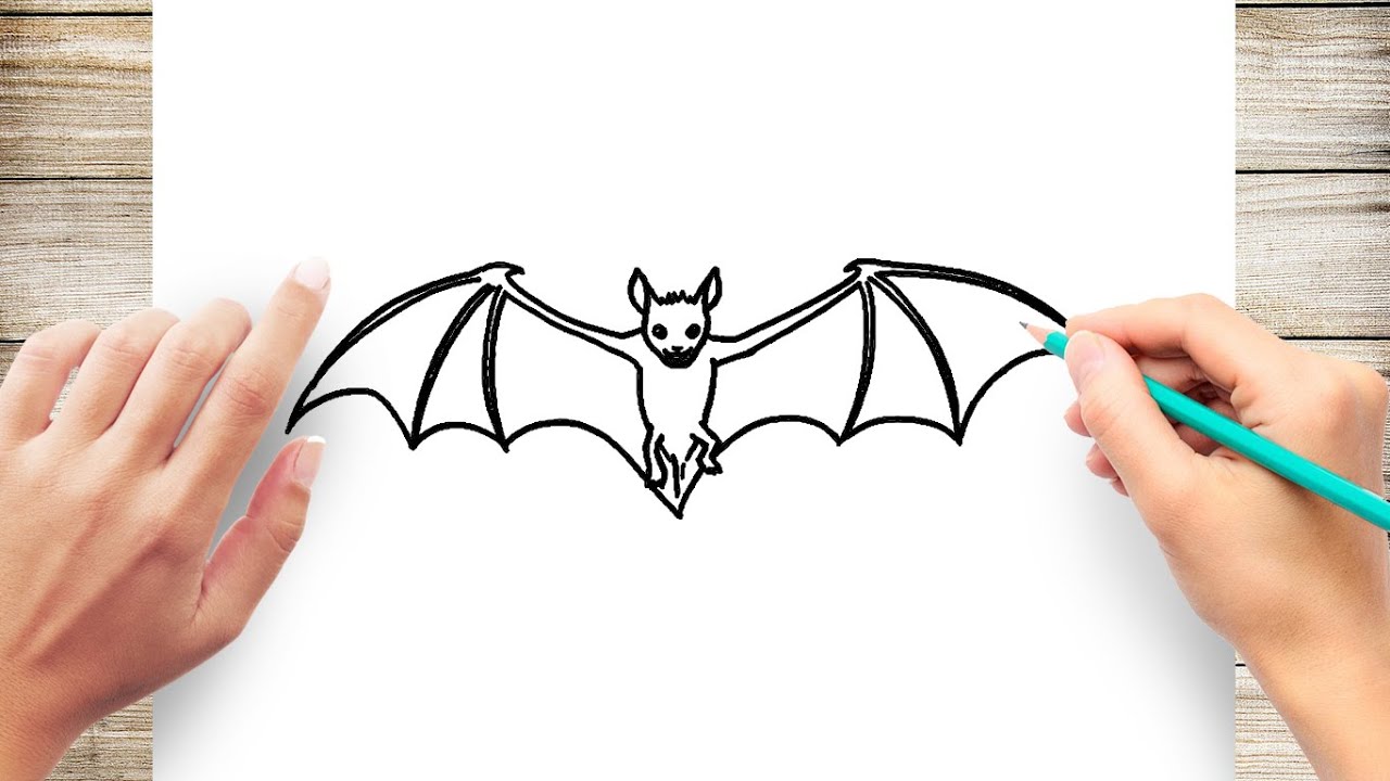 How To Draw Bat Step by Step - YouTube