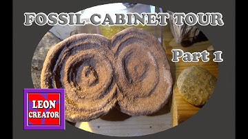 FOSSIL COLLECTOR Cabinet of Curiosity!!! - Part 1 - with Leon Hills - LEON CREATOR