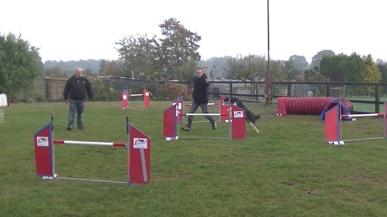 Clubwedstrijd Dogwood Agility 