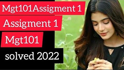Mgt101 Assigment 1 Solved 2022  Mgt101Assigment Solution