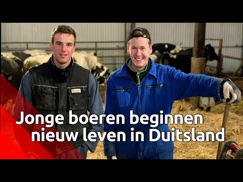 Video: Hoe Te Beginnen Met Boeren?