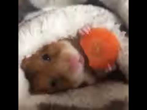 ПЕРЕД СНОМ!!:) - YouTube