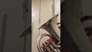 “Ruby” composed by Vander Cook, Euphonium solo Net Worth