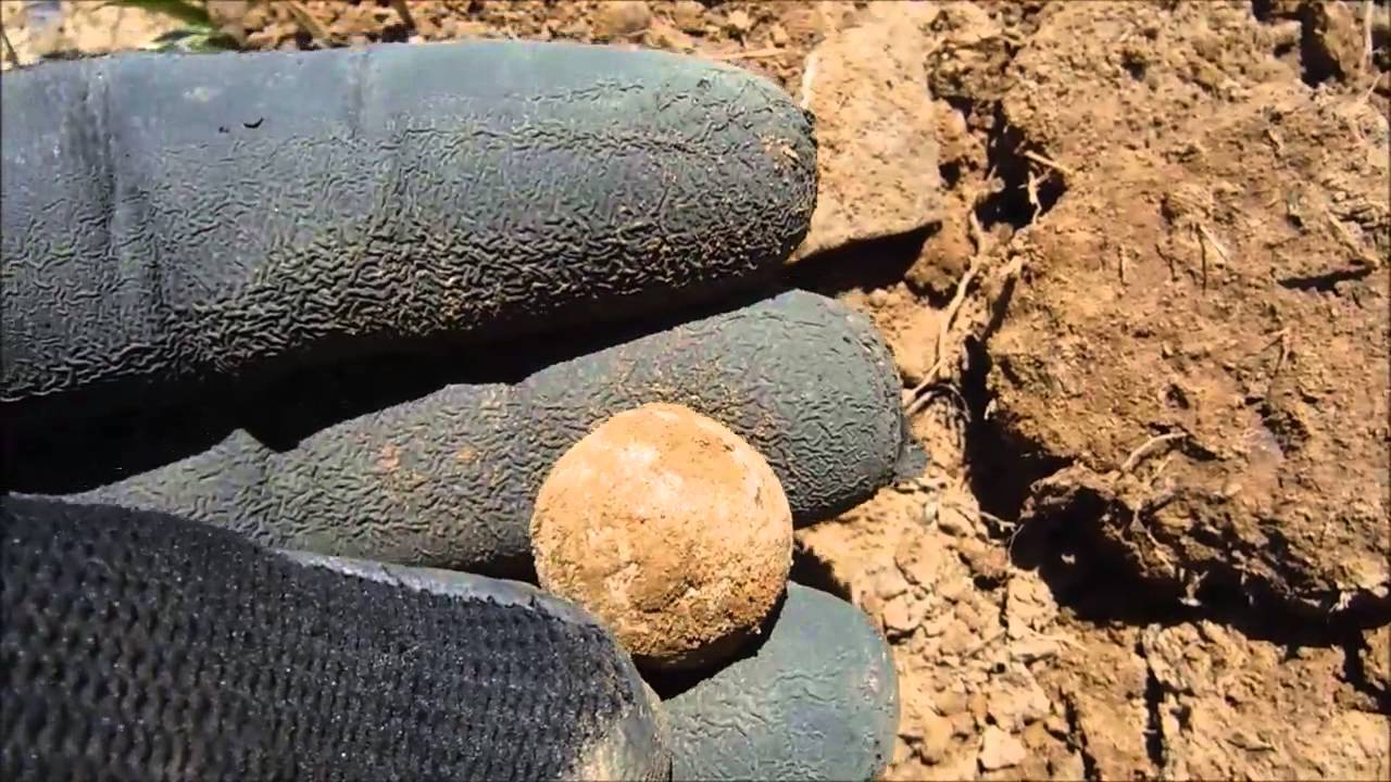 Metal Detecting Lots Of Potential Diggin Arkansas 16 YouTube