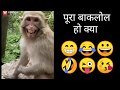 Monkey on TikTok || TikTok Monkey || Bandar on TikTok || Laughing bandar