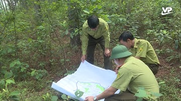 Ứng dụng chuyển đổi số trong công tác quản lý bảo vệ rừng