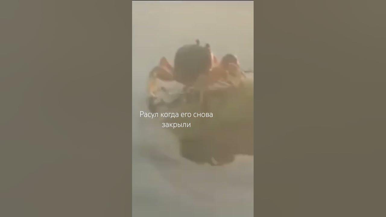 тутутутутуту - YouTube