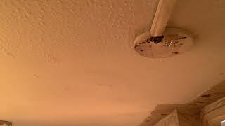 IMG 5147 06:03 24 APR 2026