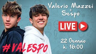 Intervista a Sespo e Valerio Mazzei: la scuola, la maturità e #Valespo