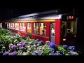 [Ajisai Train] Hakone Hydrangea Train