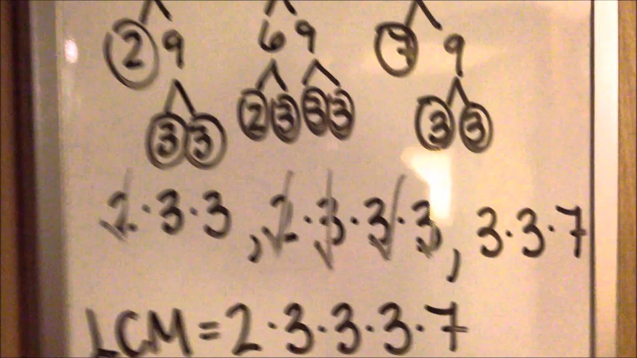 The Least Common Multiple and Greatest Common Factor - YouTube