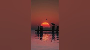 واذكر في الكتاب إبراهيم إنه كان صديقا نبيا(تلاوة من سورة مريم )🌹قرآن كريم 🌹القارئ مؤيد المزين