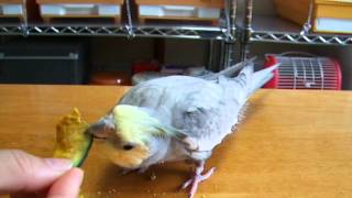 チン！してチップス♪カボチャ☆