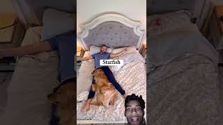 This is what happens when you let your dog sleep in your bed!