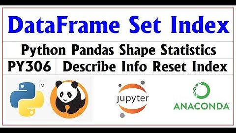 PY206 | Pandas DataFrame Set Reset Index | Camel Academy
