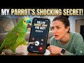 In this hilarious cli a group of officers with some#shortvideo#youtub