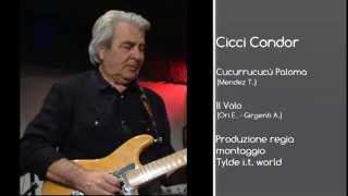 Cicci Guitar Condor - Cucurrucucù Paloma / il Volo (Official Video) chords