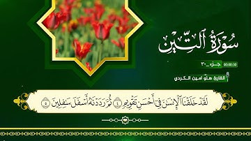القران الكريم ٩٥ سورة التين بصوت القارئ هلو امين الكرد 2025