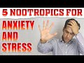 Top 5 Nootropics To Fight Anxiety And Stress