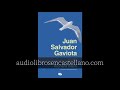 Juan Salvador Gaviota, de Richard Bach | Audiolibro completo
