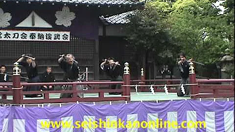 Tenshin Shoden Katori Shinto-Ryu Sugino Dojo (1)