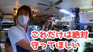 水槽用ヒーターの水温上昇事故の防ぎ方を涙ながらに語る山田氏【トールマンTV切り抜き】