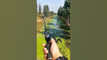 Cần câu máy rút gọn 33cm, 1,8m câu lure cá lóc sộp 2025 #1 #lurefishing  #fishing #shorts