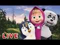 🔴 LIVE STREAM 👱‍♀️🐻 마샤와 곰 🌳🌲 숲의 도시에 오신 것을 환영합니다🌳🌲Masha and the Bear