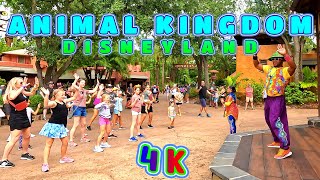 Great Show at Disney Animal Kingdom 2023, Orlando Florida USA 4K - UHD
