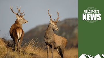 Assynt crofters vs John Muir Trust: battle for Quinag estate