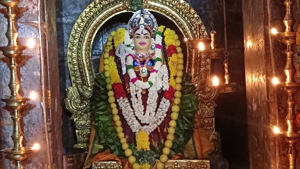 #வாசுதேவநல்லூர்