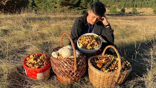 ТОТ САМЫЙ БУМ маслят в Крыму. Это не мы за грибами, а они за нами пришли