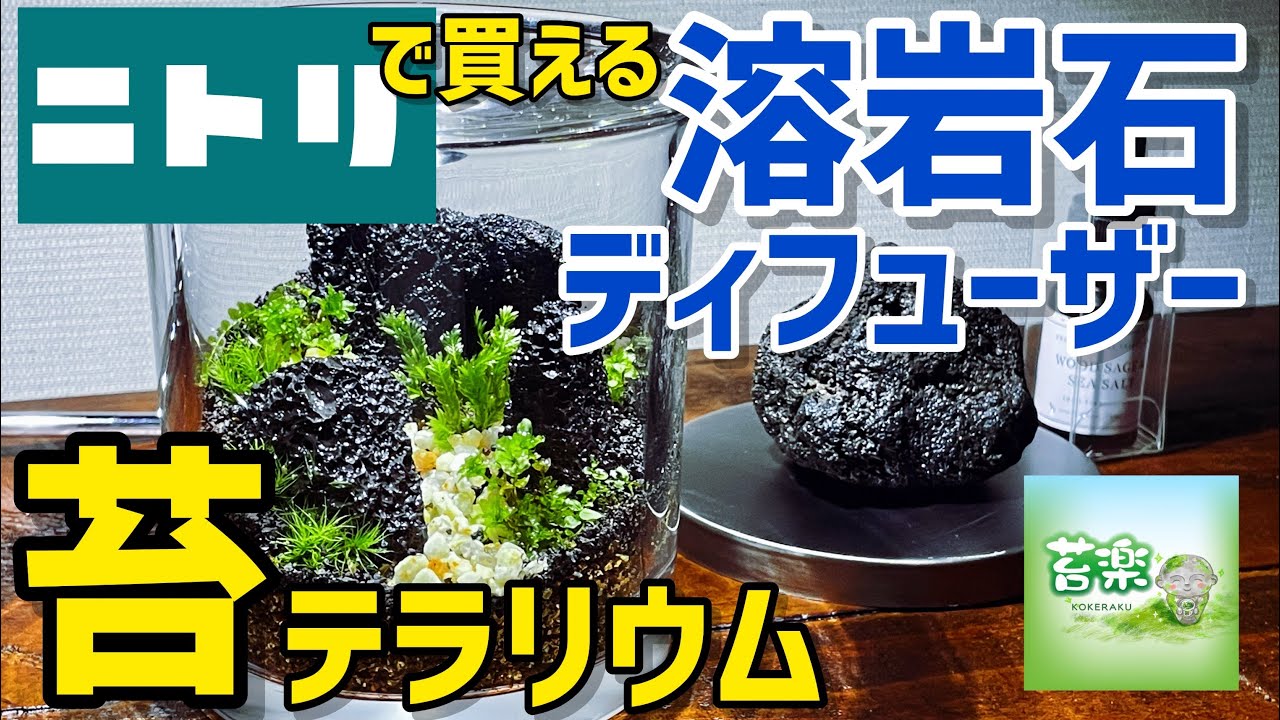 ニトリの溶岩石ディフューザー【苔テラリウム制作】