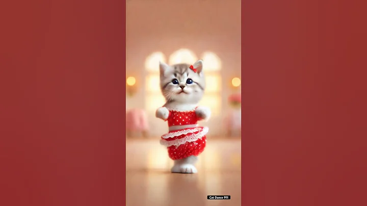 Watch the video about #catdance #cute #funny #trending #ai #cat #dance #shorts #cats #catvideos #catlover #kitten