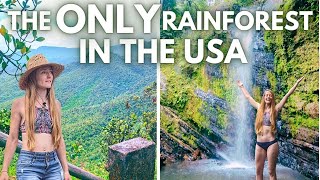 EL YUNQUE | Puerto Rico Travel Guide | Tour the Only Rainforest in the USA