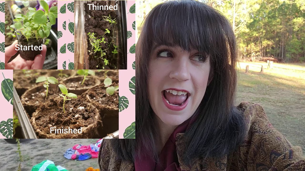 Growing Cut Flowers Lessons from a former plant killer YouTube