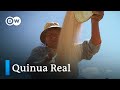 Quinua Real: el grano madre de los Andes